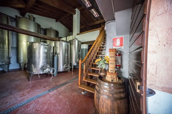 ALLEGATO AZIENDA 3
