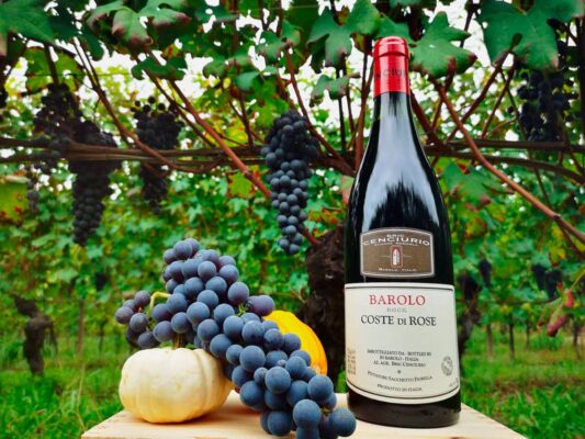 Barolo Bric Cenciurio