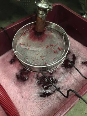 Lavorazione Mosto