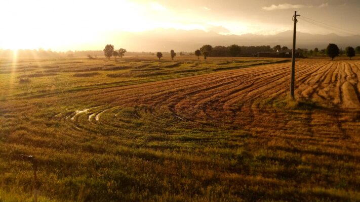 Gattinera Farm